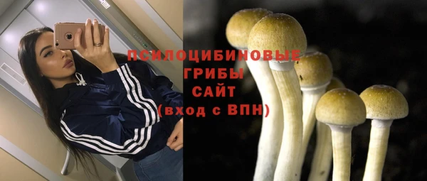 ECSTASY Инсар