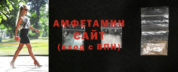 ECSTASY Инсар