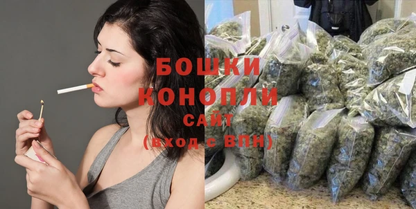 ECSTASY Инсар