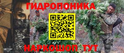 не бодяженный Камышлов