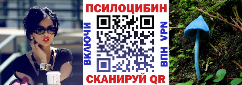 Галлюциногенные грибы Psilocybine cubensis  купить   Новомосковск 