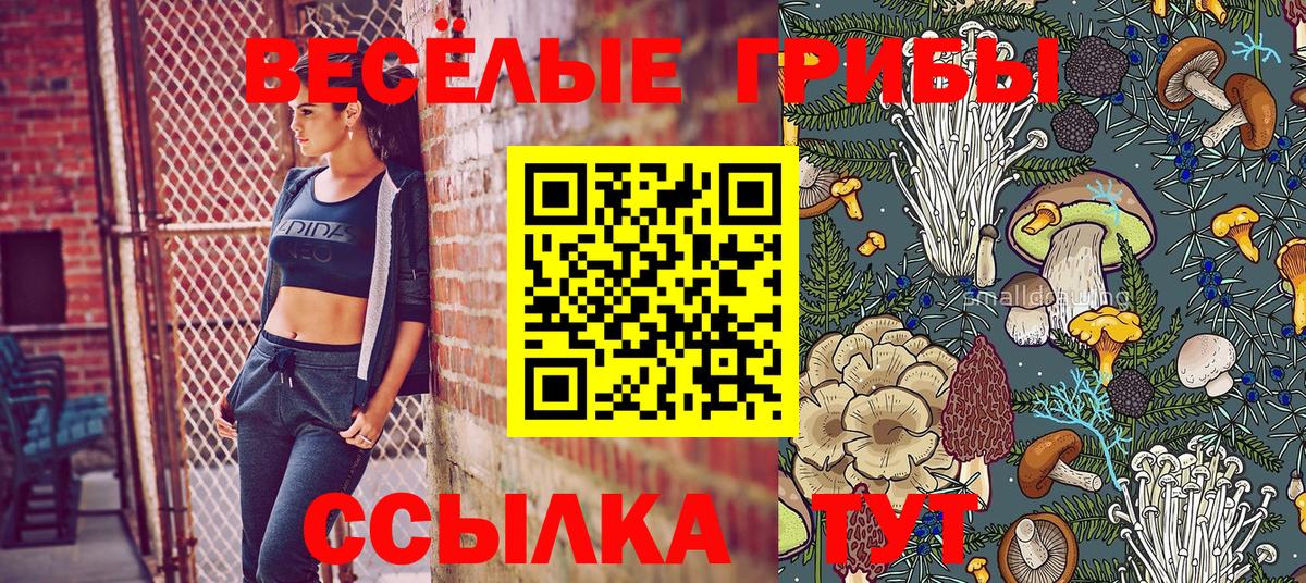 Метадон  Новомосковск  Канабис  Меф  А ПВП  Метамфетамин  Кокаин  Гашик  МЕФ  Вход с VPN 