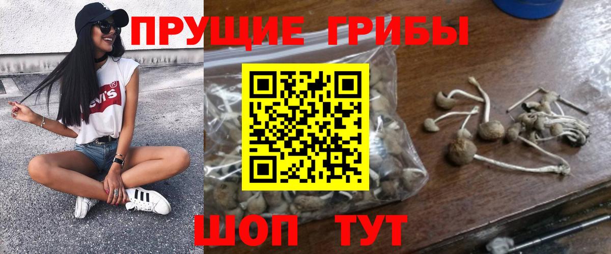 Галлюциногенные грибы Cubensis  Вход с VPN  Новомосковск 