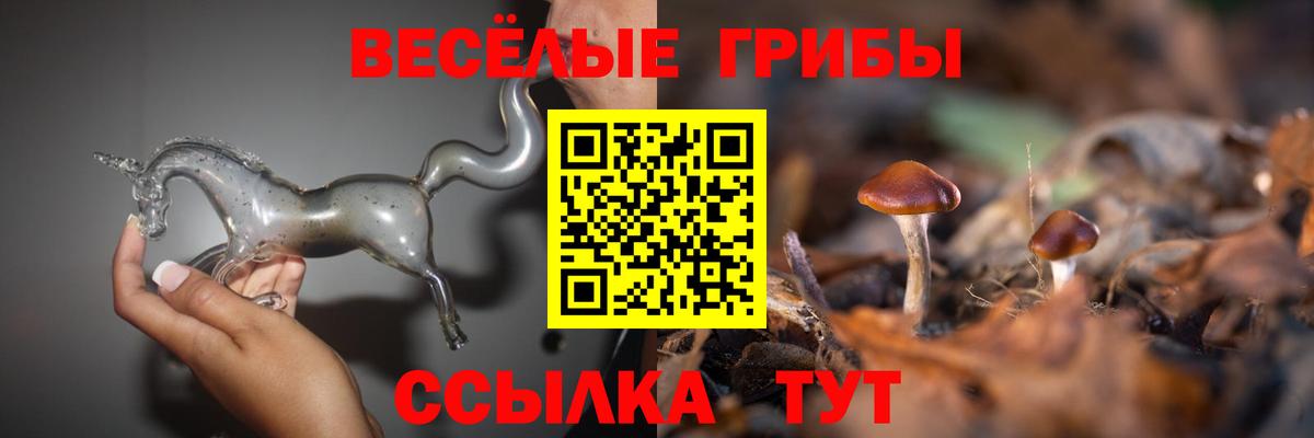 Псилоцибиновые грибы Magic Shrooms Новомосковск